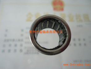 滚针轴承,单向滚针轴承系列