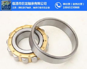 双列圆柱滚子轴承 圆柱滚子轴承 山东轴承厂家 在线咨询